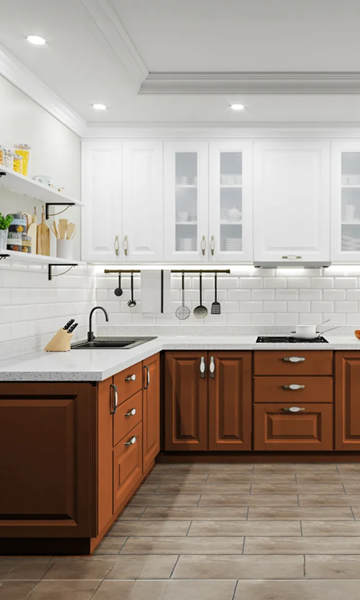 Modern Modular Kitchen Interior Design